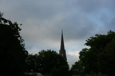 DSC_2698 (Large).JPG